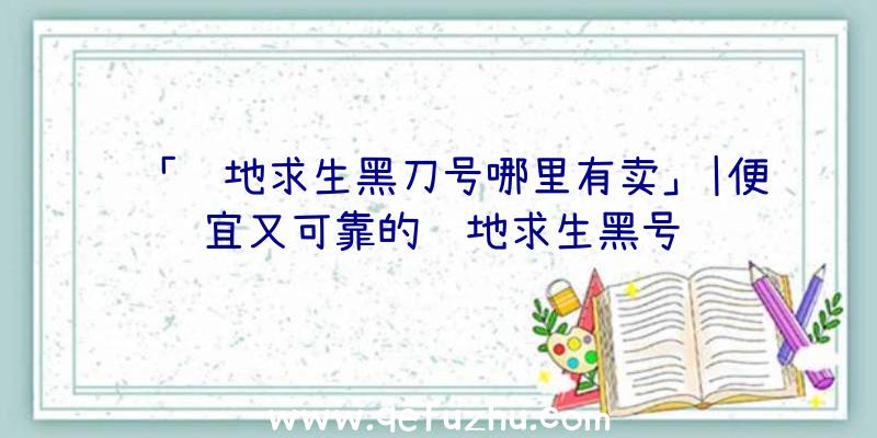 「绝地求生黑刀号哪里有卖」|便宜又可靠的绝地求生黑号